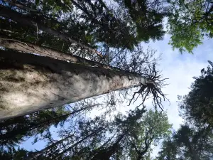 Pyha-Hakki National Park