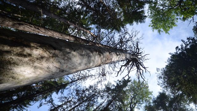 Pyha-Hakki National Park