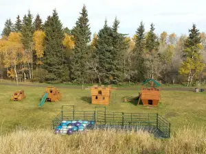 The Jungle Farm