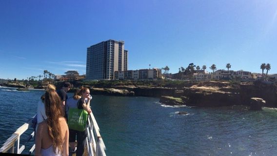 Children's Pool La Jolla