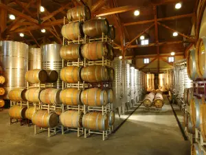 Chateau Morrisette Winery