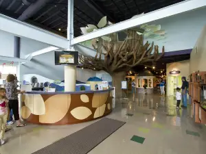 Explore More Discovery Museum