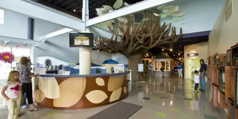 Explore More Discovery Museum