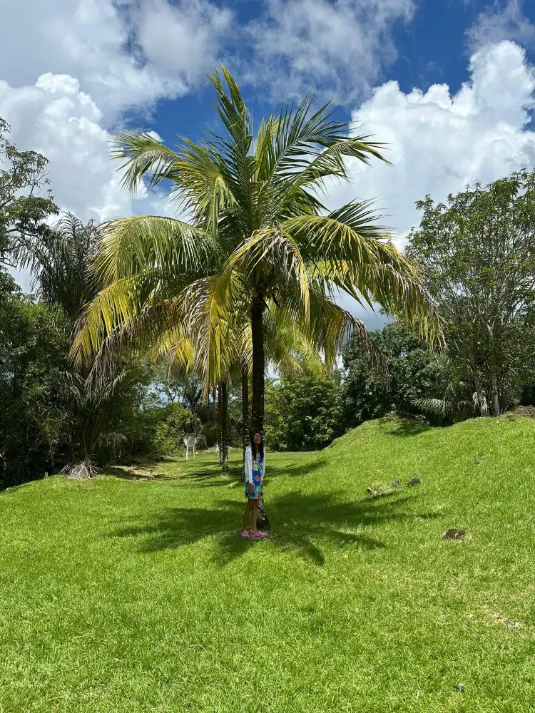 Hotels With Wifi in Potaro-Siparuni, Guyana