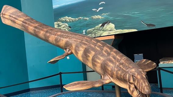 New Mexico Museum of Natural History and Science