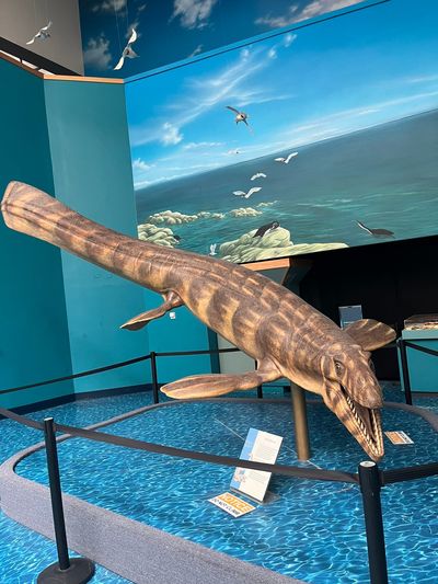 New Mexico Museum of Natural History and Science