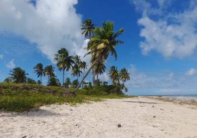 Garca Torta Beach