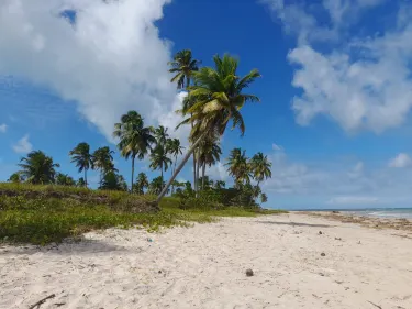 Garca Torta Beach