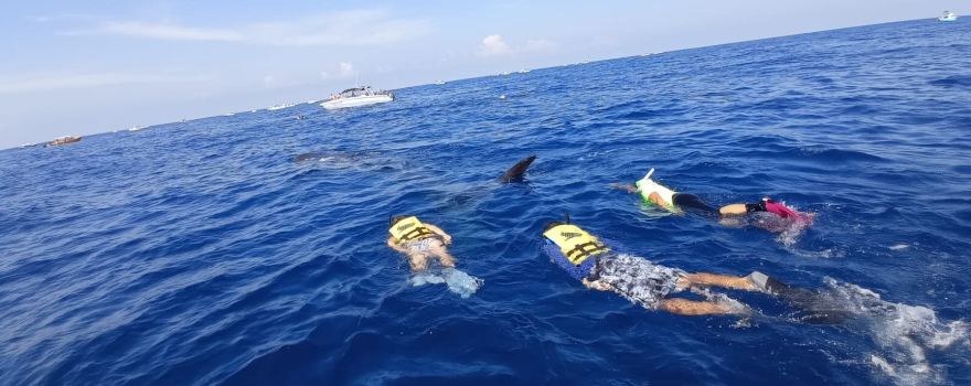 BUCEO XTABAY