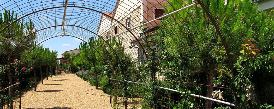 Visita a las Bodegas del Duraton