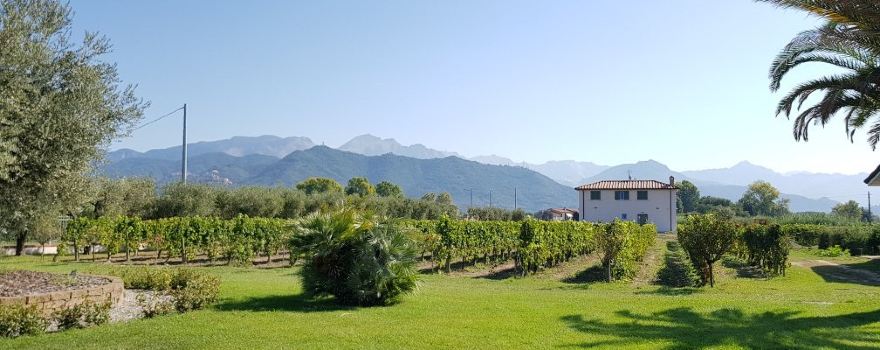 La Baia del Sole - Cantine Federici
