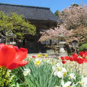 華遊山 龍雲院