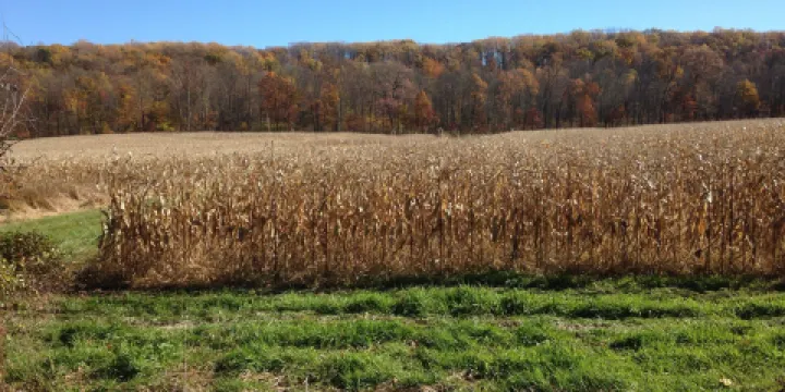 Conewago Recreation Trail