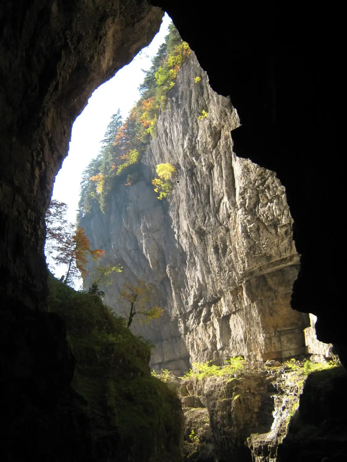 Hotels near Breitachklamm