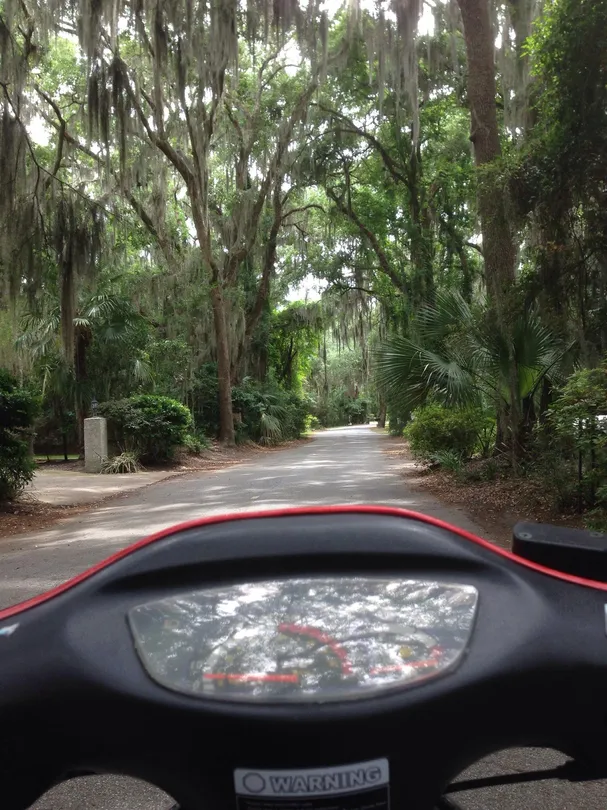 2_Your Moped Operandi