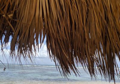 Nagua