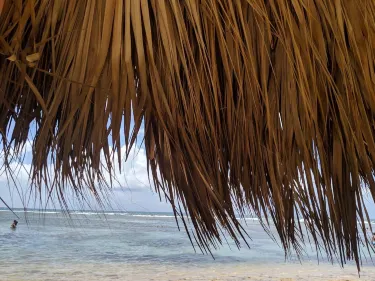 Nagua