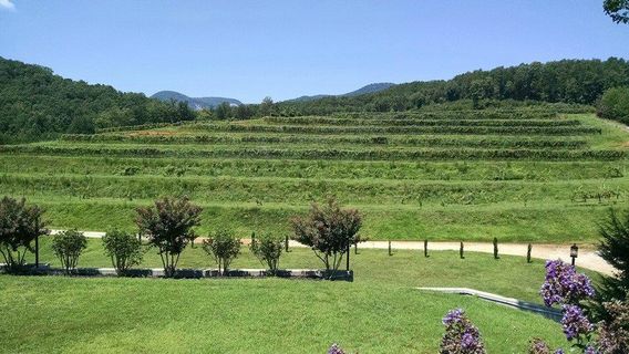 Victoria Valley Vineyards