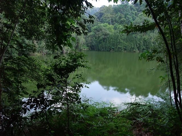 Taman TAR Wildlife Sanctuary
