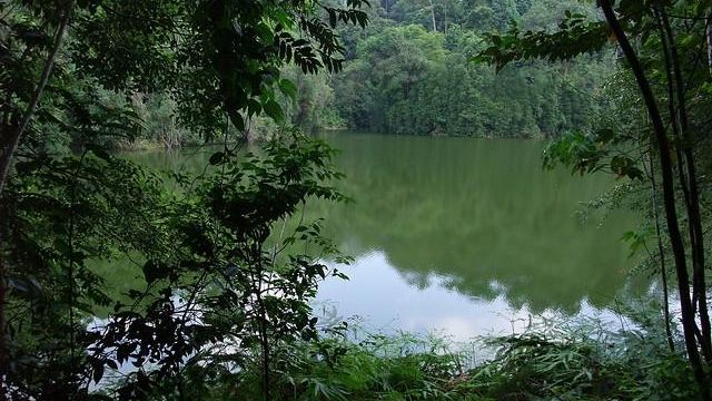 Taman TAR Wildlife Sanctuary