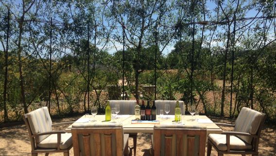 DaVero Farms & Winery