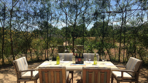 DaVero Farms & Winery