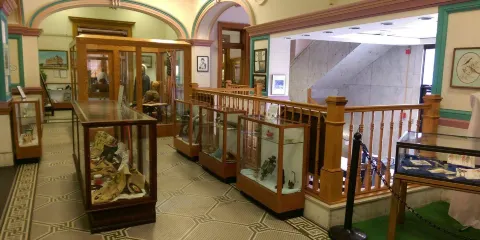 Marion Public Library