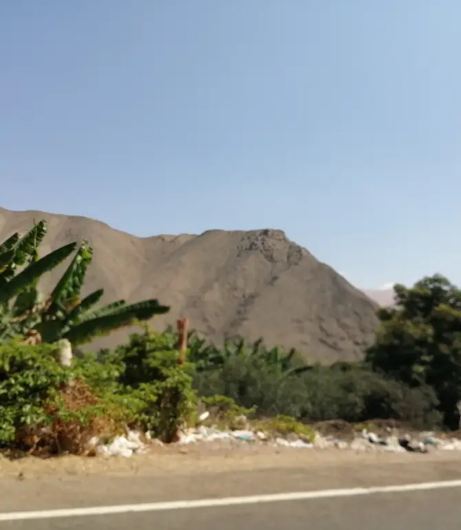 El Algarrobal