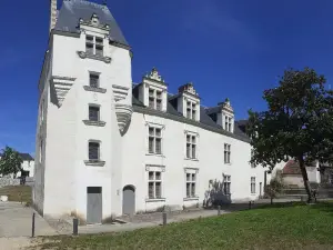 Castle d'Ancenis