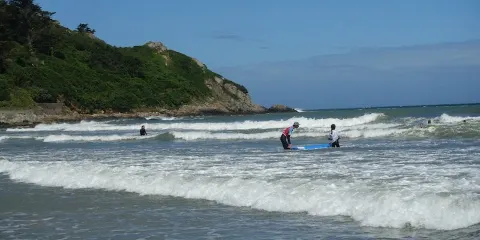 Surfplaya Surf School