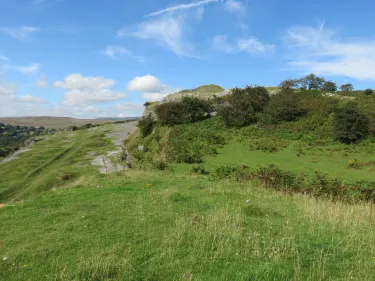 Vaynor