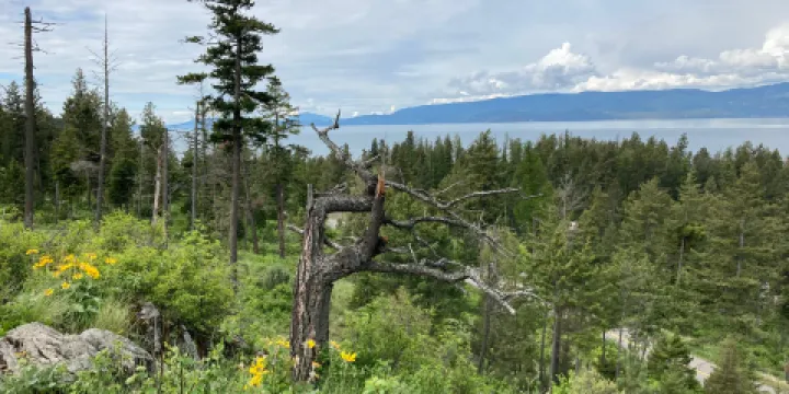 Wayfarers State Park