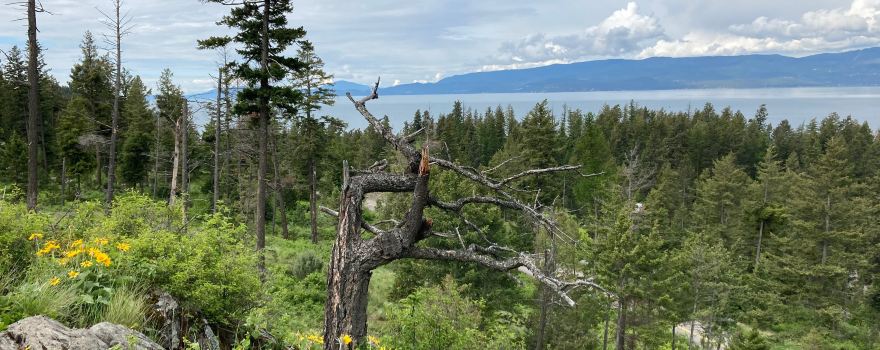Wayfarers / Flathead Lake State Park