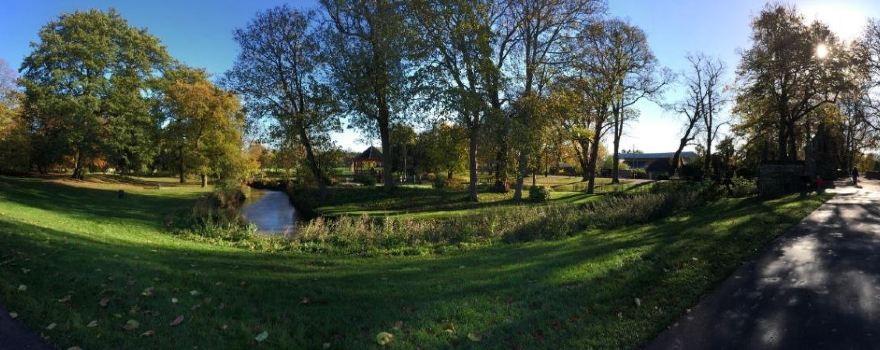 King's Lynn