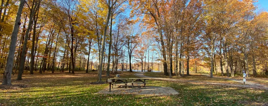 Veterans Park
