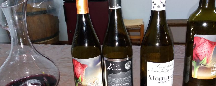Luis Saavedra Bodegas Ecologica