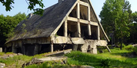 Bucher- und Bunkerstadt Wunsdorf