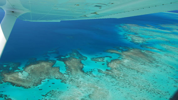 Cairns Scenics