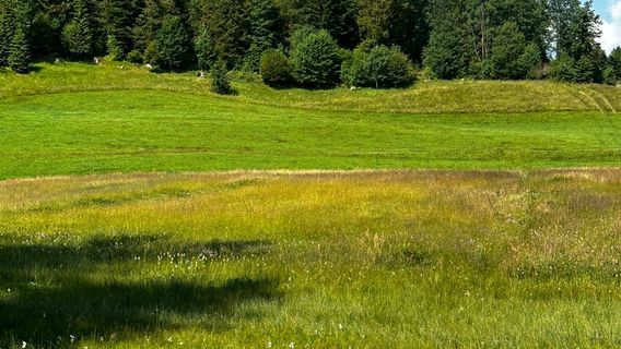 Naturerlebnispfad
