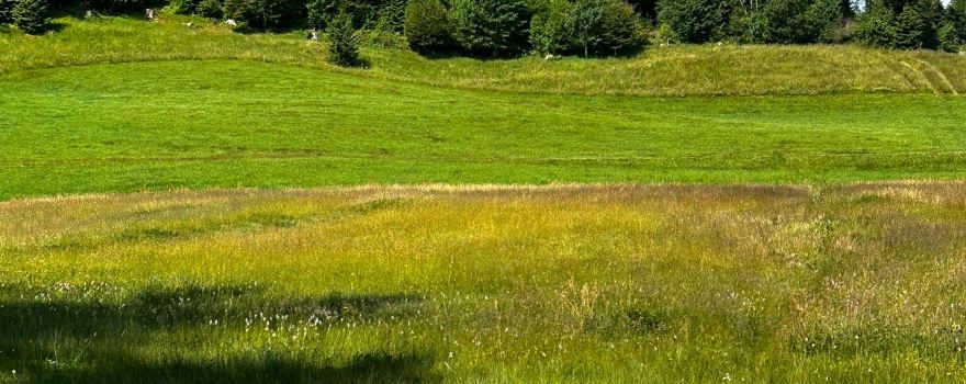 Naturerlebnispfad