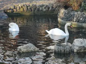 Kenana Park zoo