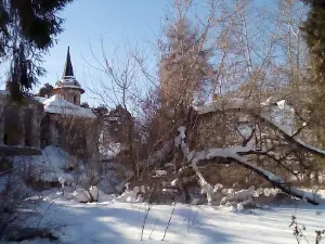 PF Manor Sevryugov "Joy"