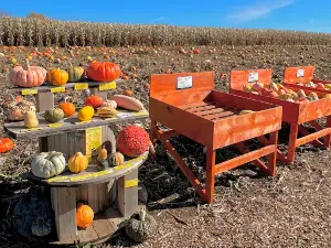 Big Springs Farm Pumpkins & Corn Maze LLC
