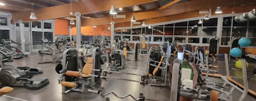 Arhena5 Palestra
