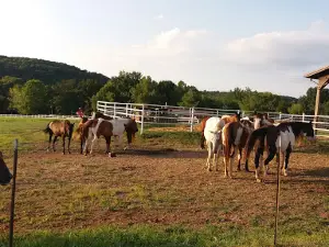 Blue Springs Ranch