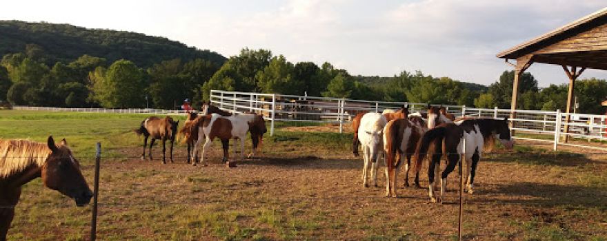 Blue Springs Ranch