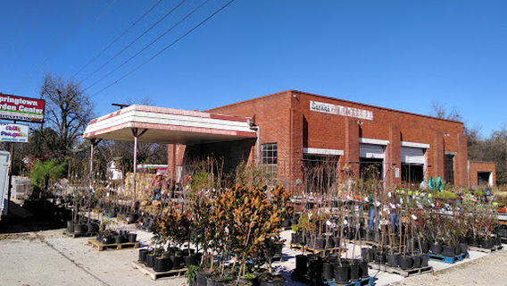 Springtown