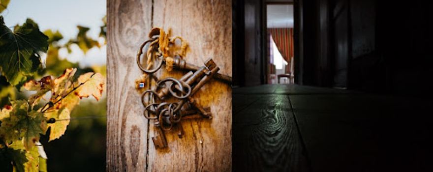 Escape Games PEUR SUR LA VIGNE