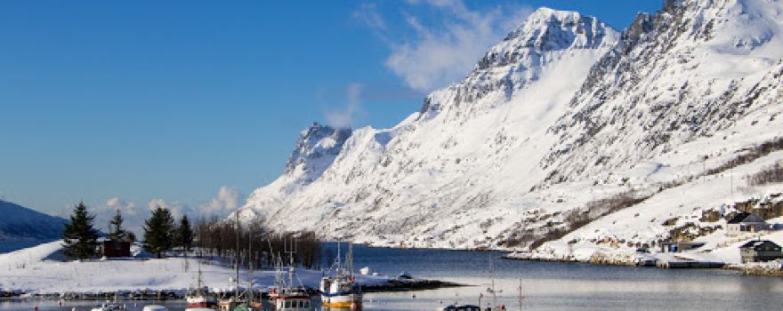 Ersfjord Cottage