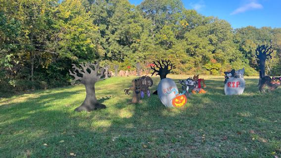 Marlow's Pumpkin Patch